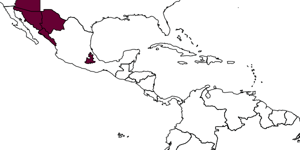 map of Zynzus jocus     (Smith, 1970)